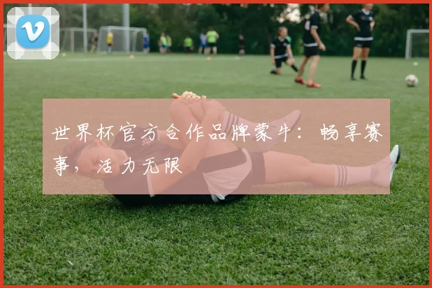 世界杯官方合作品牌蒙牛:畅享赛事,活力无限