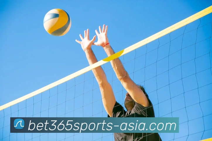 Bet365平台生态图